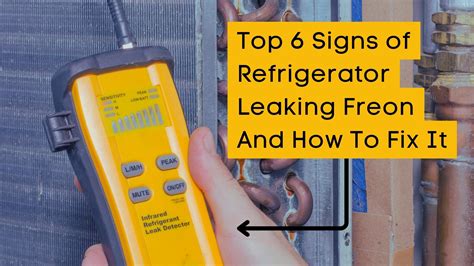 Freon Leaks in Freezers